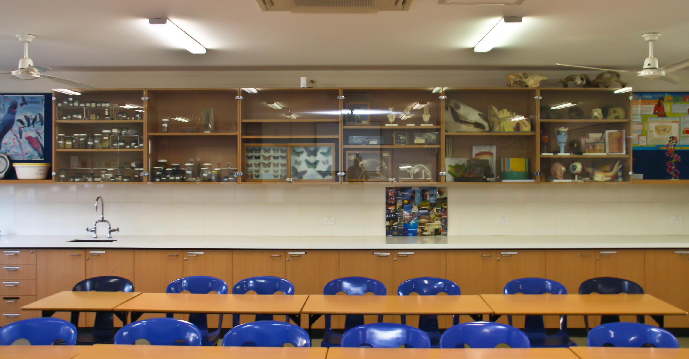 School Science Lab Building Services